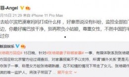 打架视频投稿爆料给谁看,打架视频投稿揭秘，揭秘者身份引关注