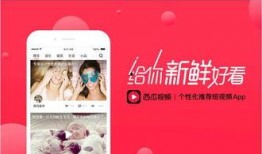 西瓜视频直播真实爆料,真实爆料带你走进直播行业